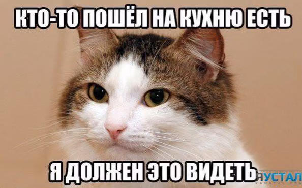 4f028b2ecc3a97fd8a4451337f31ac0c.jpg