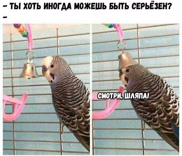 4f074254d60c58aae76d739b7c97c55c.avif