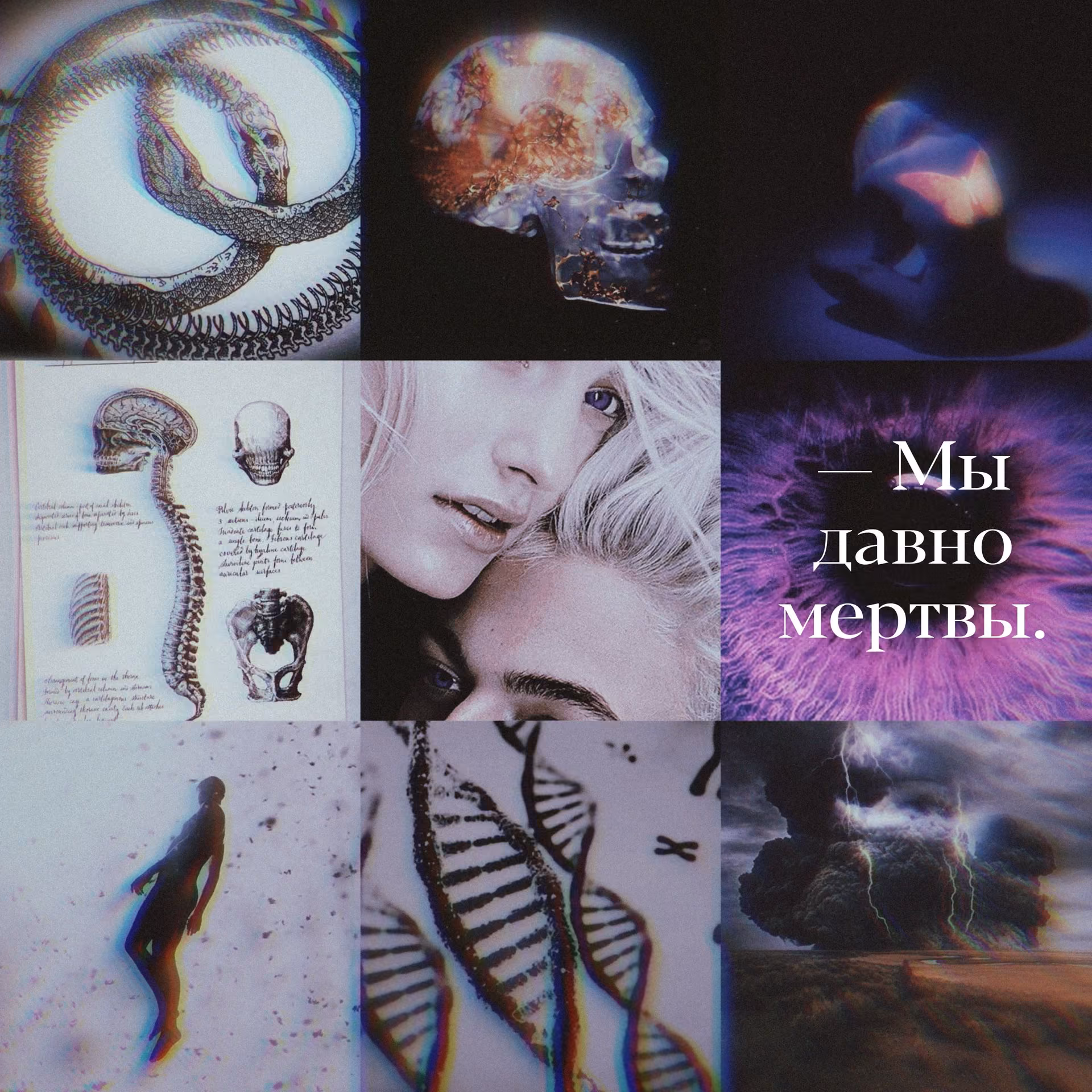 4f3fa043fdbe0edd0a3d29ccf3f6b7f5.avif