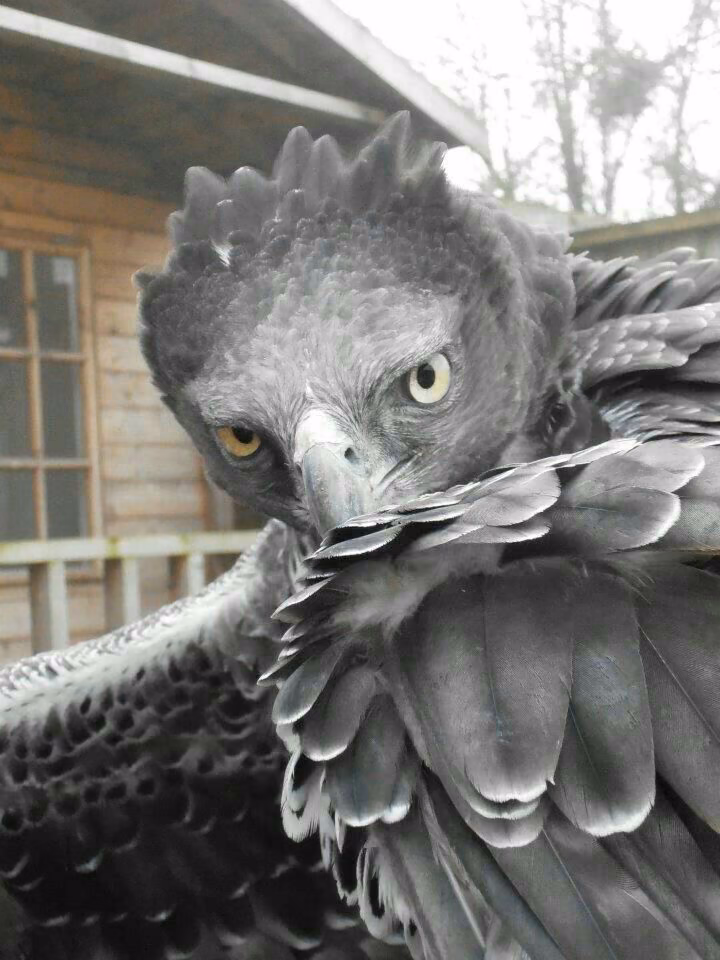4f4e1c24428073bfd3c8b5fc22ebfdc6.avif