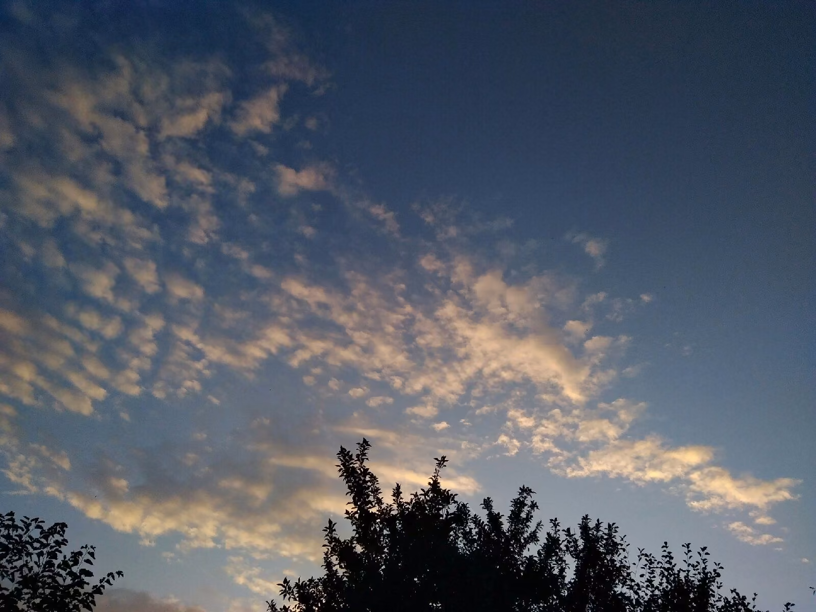 4f50b7a282c221fb7707e5797d7f8d97.jpg