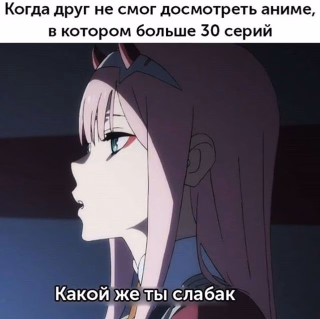 4f55366324087f1cb9c6007695389e6a.avif