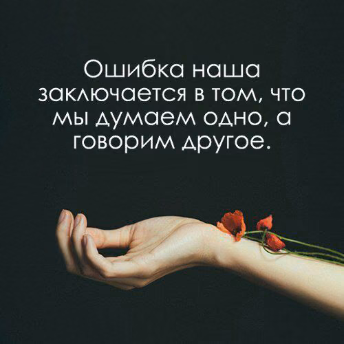 4f604520f2188494b07a45733c9da72c.avif