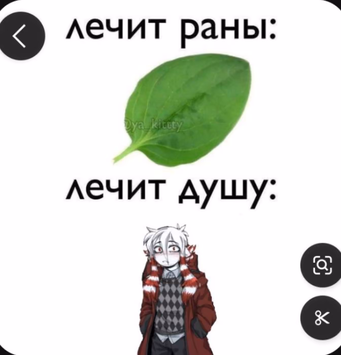 4f6d2a6990e6dd3f442aedd0cc98691c.avif
