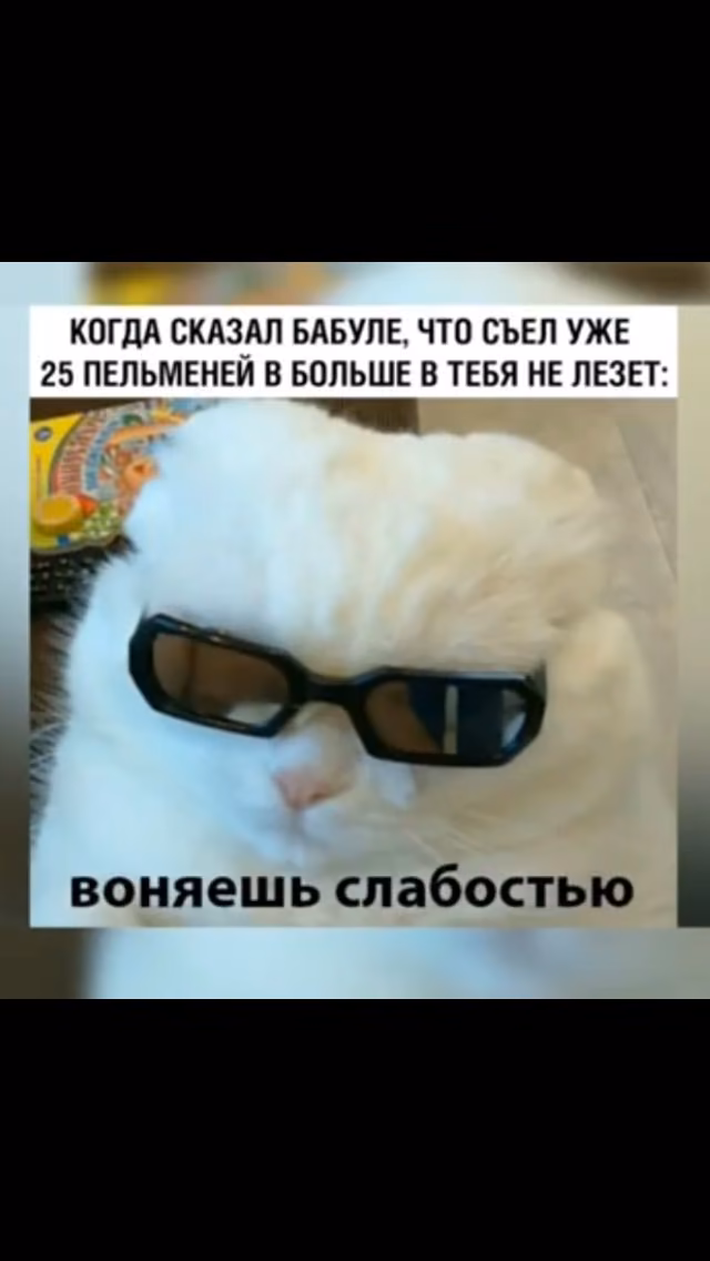 4f7c6a50736a7e6a560059f713966db6.avif
