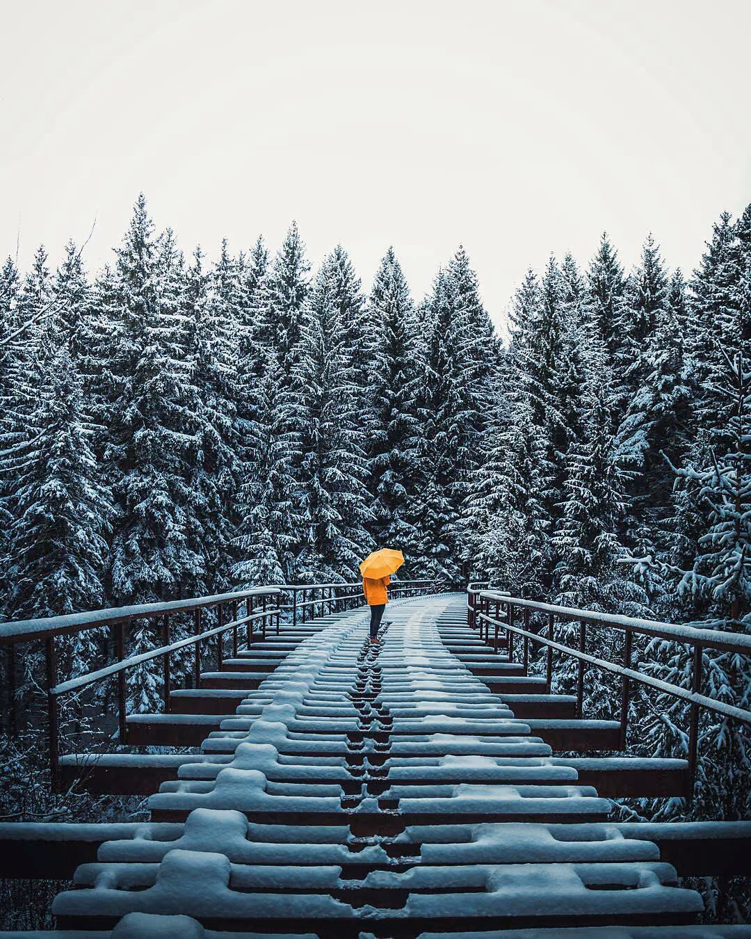 4f95df6b4918c83f4ab0801e99e5fcd2.avif