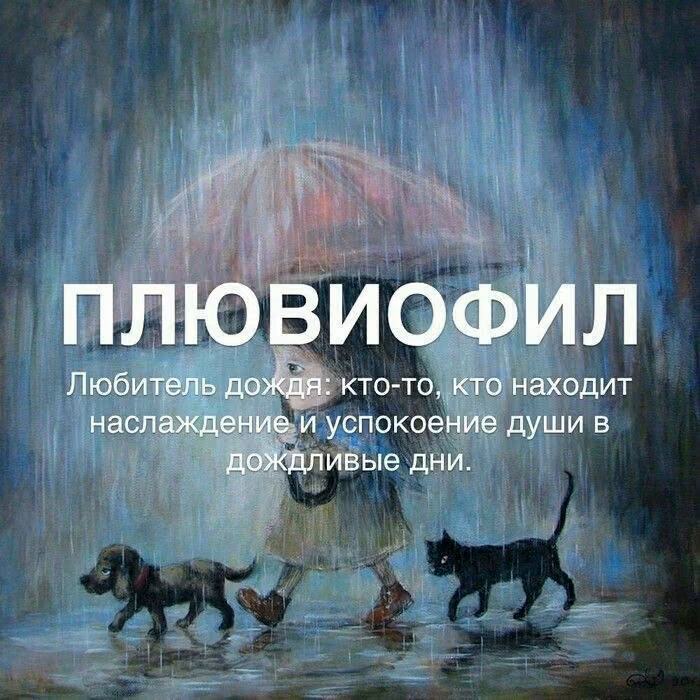 4f9c41019336f4cb46212a826feefa00.avif