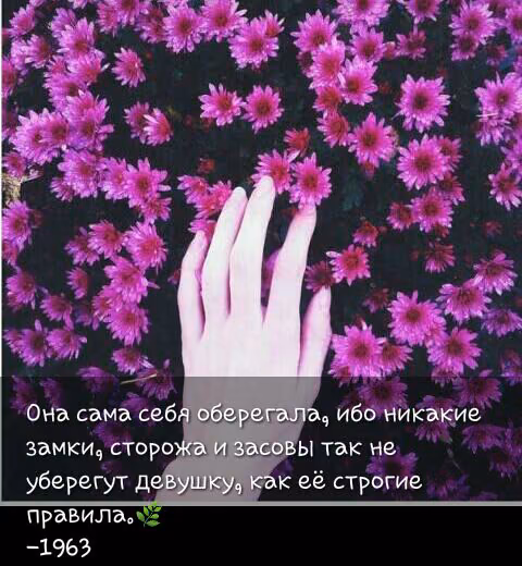 4f9d5789c4377b82c81d81dde25e651d.jpg