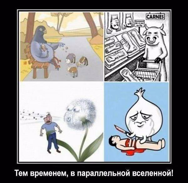 4fa0a44c6ef82cc5b33744a2d260c8e9.jpg