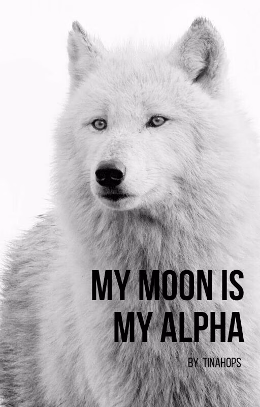 4fa8b9d42e43a715df68a75c8bf72ce9.jpg