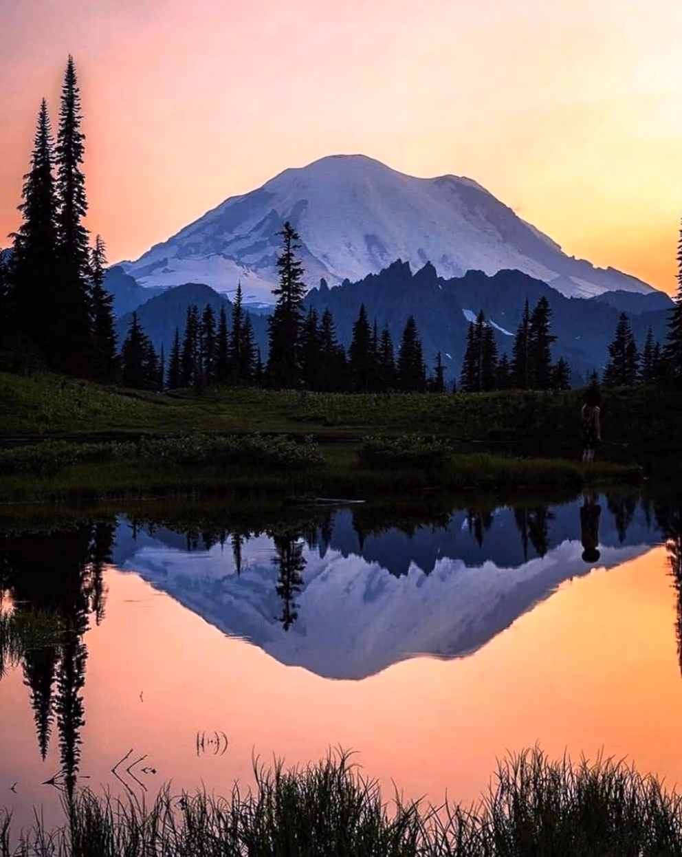 4fb8a2ec9e385fee64f498a678e7a49a.jpg