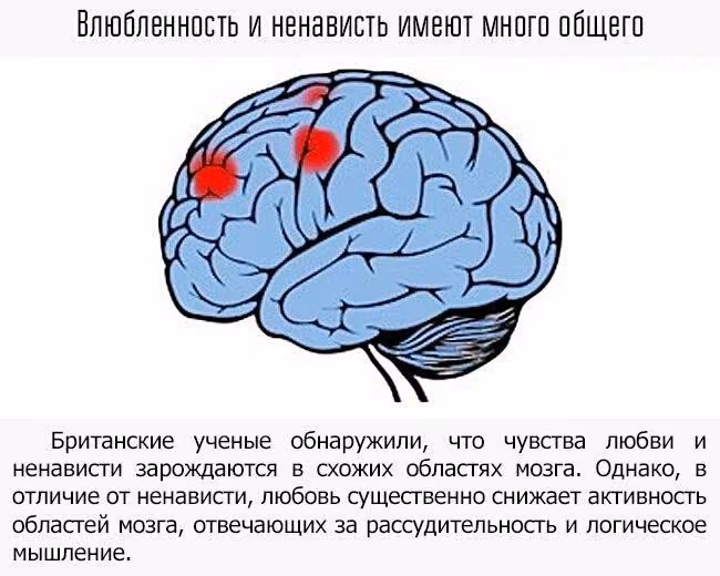 4fcd1d5d30cfa2a46f17e50e19988137.jpg