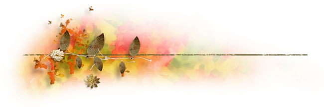 4fd67b1d5a263d2ba4e40005583ac50b.jpg