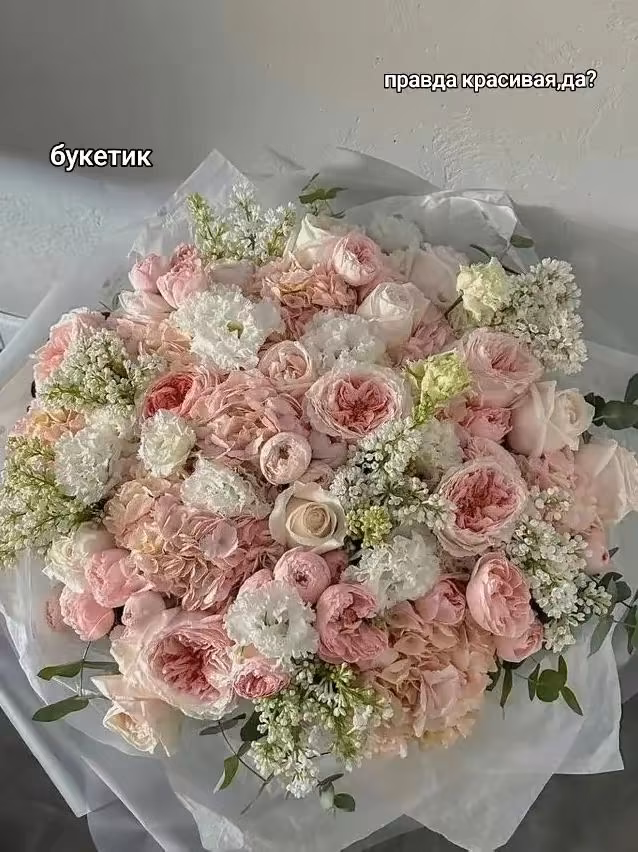 4fe9a153f0d6402ad40f761670772795.jpg