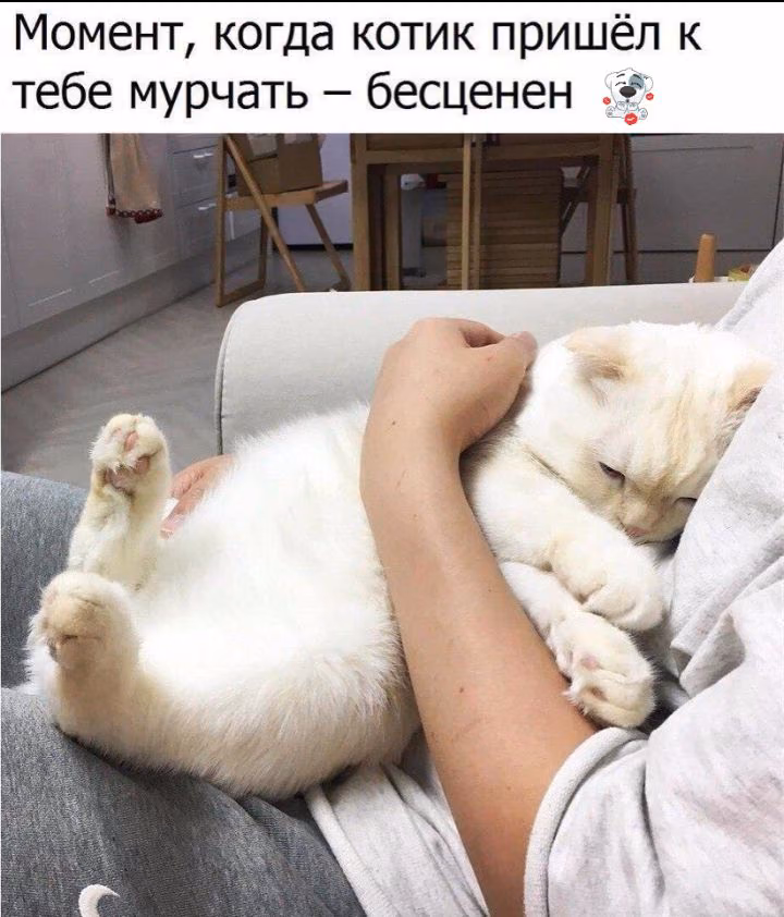 4ff80e317c2eb8add0f9633b55be251b.jpg