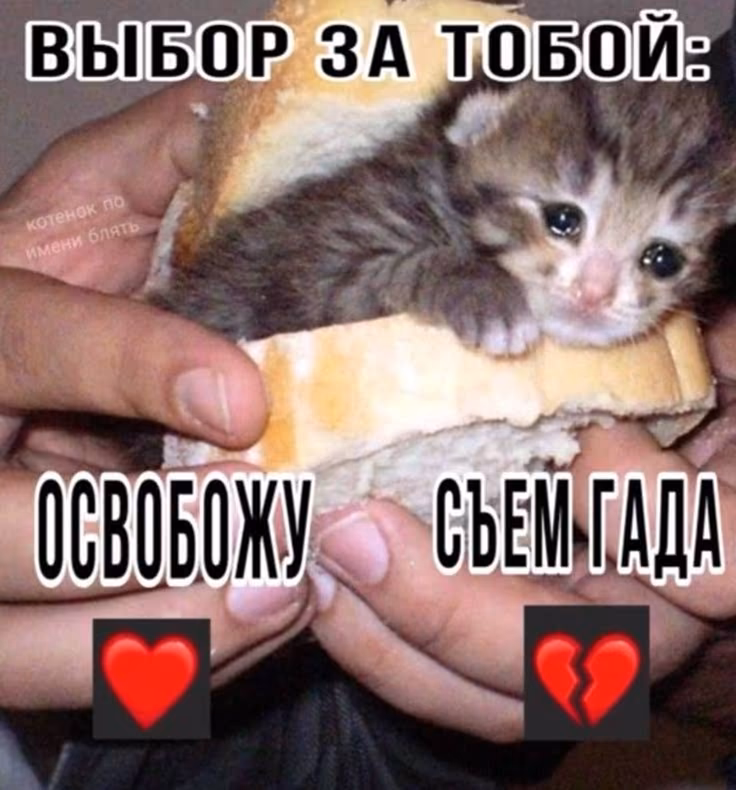 4ff8bbeaa3b482e857e45604e4ebe9fa.avif