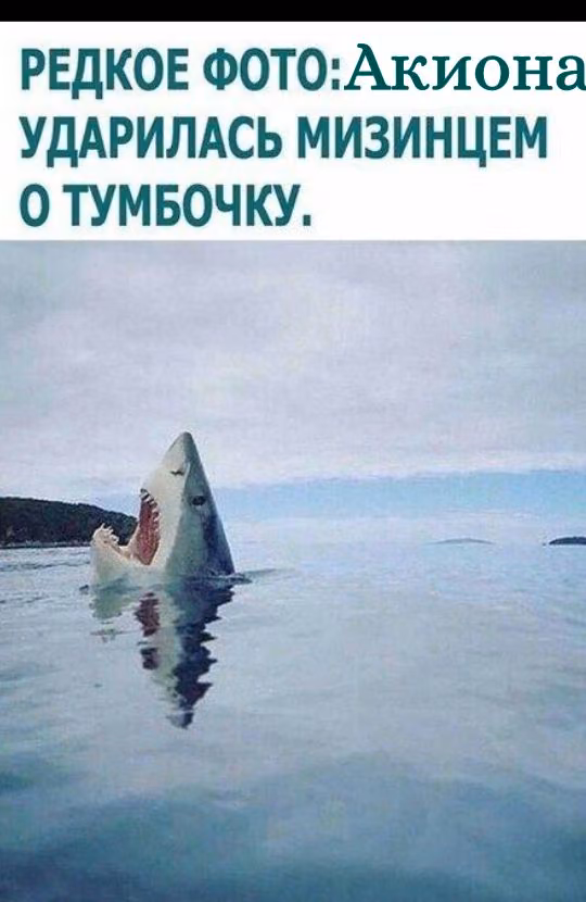 4ffcc8d7a144122ba25dfdf82a1f9dcf.avif