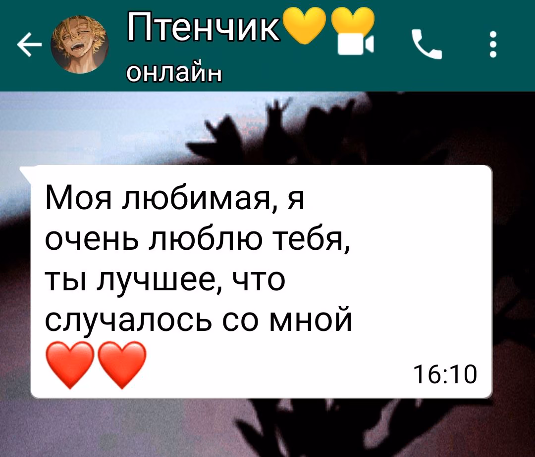 500a6910d6368b6f46559743005cc6ff.avif