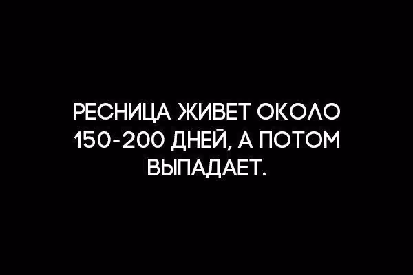 5025991da80f589db20642ae3245fcfd.avif