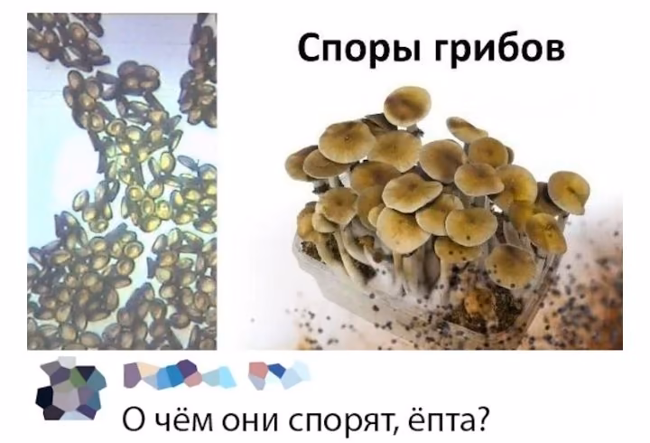 502b6fab61f2b4d44d67ba21d56355b8.jpg