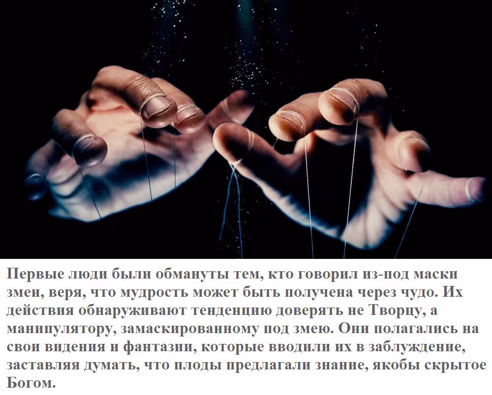 502b8691d1c8e449650bde15ee033c80.avif