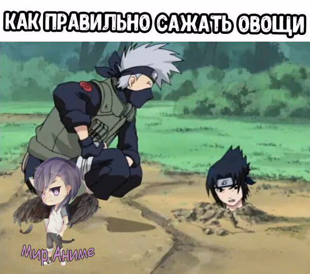 5032fd4d2cc22e92c48f0beb8fcdd4cf.jpg
