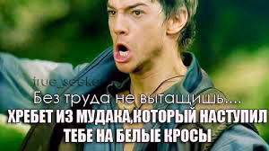 50454a2a2ecf8bb86ada909983b367f3.jpg
