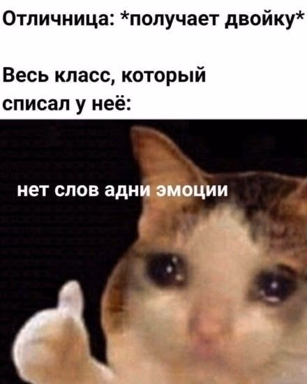 50591844bc8ce61b191054f27ecaafbb.jpg
