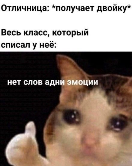 50591844bc8ce61b191054f27ecaafbb.jpg