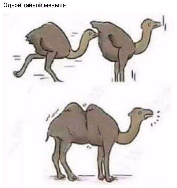 506df5765d0ccafe6c8c8f4d8683a9a7.avif