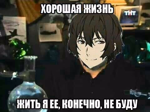 506f8e557c363ea1b47bc9aa0babc1a6.avif