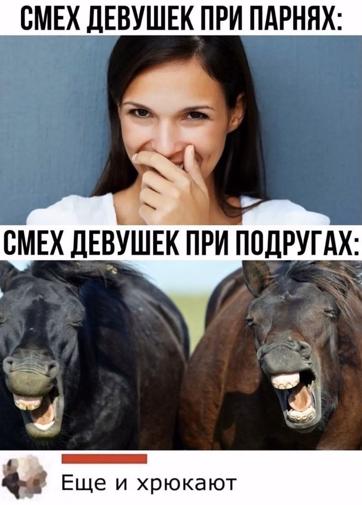 50715e56fbf3eccbd9f3b31f377c0eca.avif