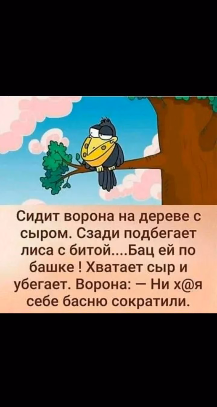 50959cf78de723f7cb0c66f726cef14c.jpg