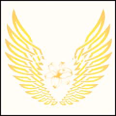 50acf6b1221f23a58d311bc62b07889f.avif