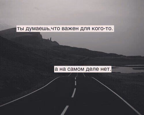 50bb1c8a4c5e5ed2d40b61436ab875bf.jpg