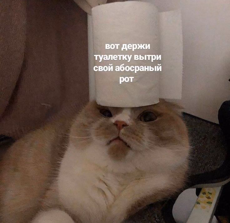 50c0d845e62fecf539d3e46039a4a306.jpg