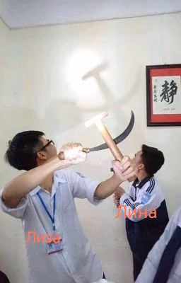 50c301cca2aa3ed9fcad6ee852c5e5f4.avif