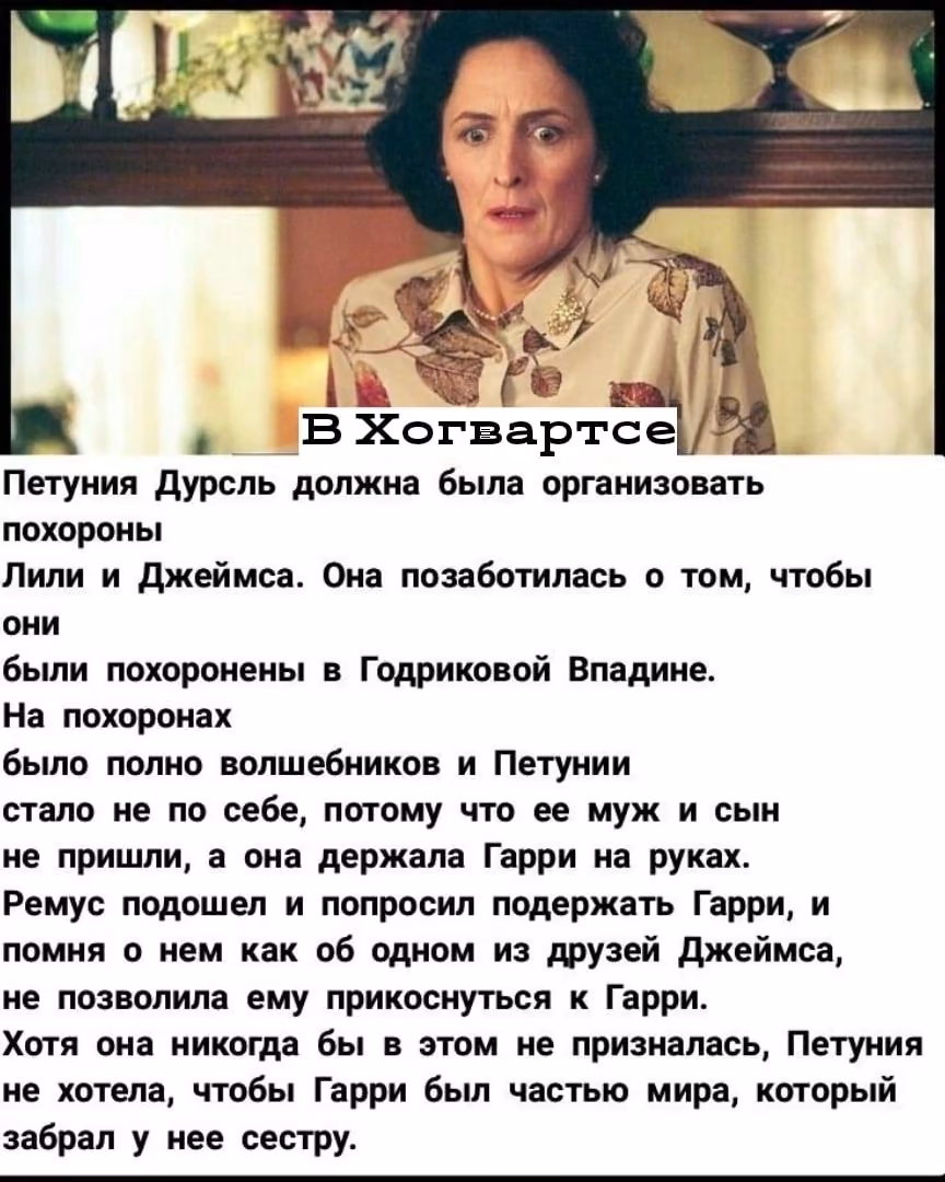 50cd8c879458d72aa131fb84ff7a811e.avif
