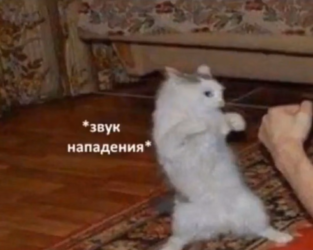 50dee6dd708b76a10d48fd2e0a38dd02.avif
