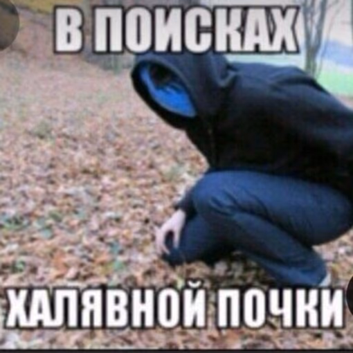 50ed67670817993eb84ac193d022b193.jpg