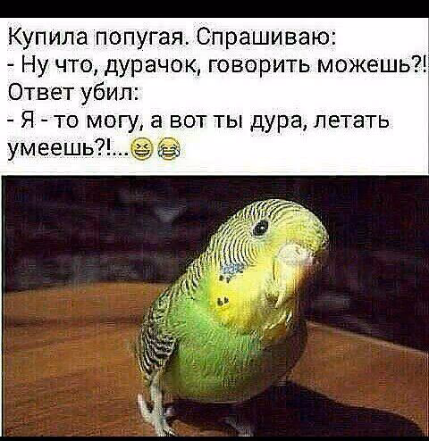 50f29a57a671b6a4fe28d90cd9f02e5c.jpg