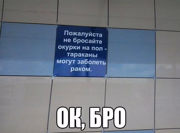 50f910f904579464c3ee54771eafbd48.avif