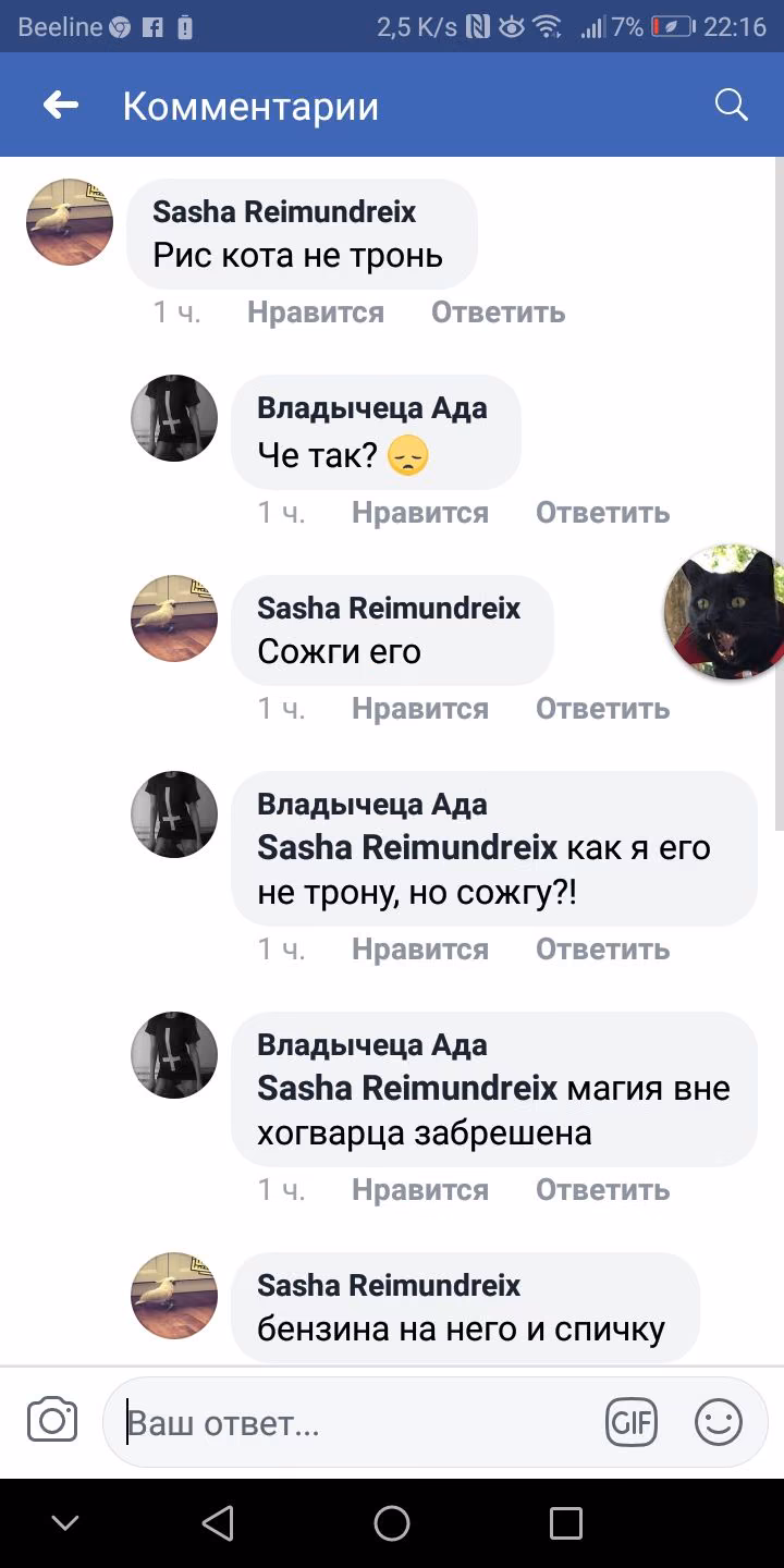 510da6a3541c3118cc678efa10d6b539.avif