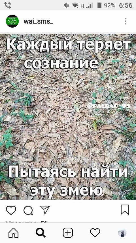 511662321cec6ae7b213a88948367b17.jpg
