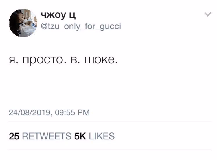 513683e02e4cc456863300f5cf4d17fa.avif