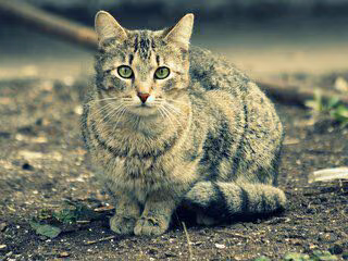 513c9ff967a689c44d933db89c2ee4f7.jpg