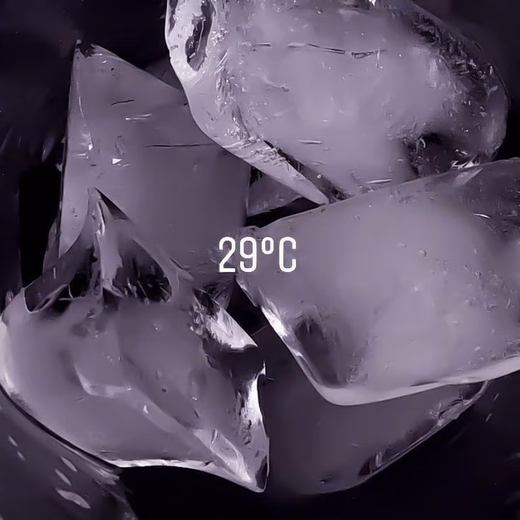 51418b2c5548b69c5017e9d7b6e4de23.avif