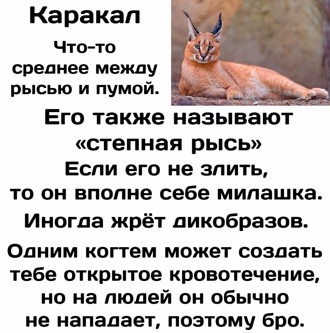5155028621d891f9540436ce2ef9dc55.jpg