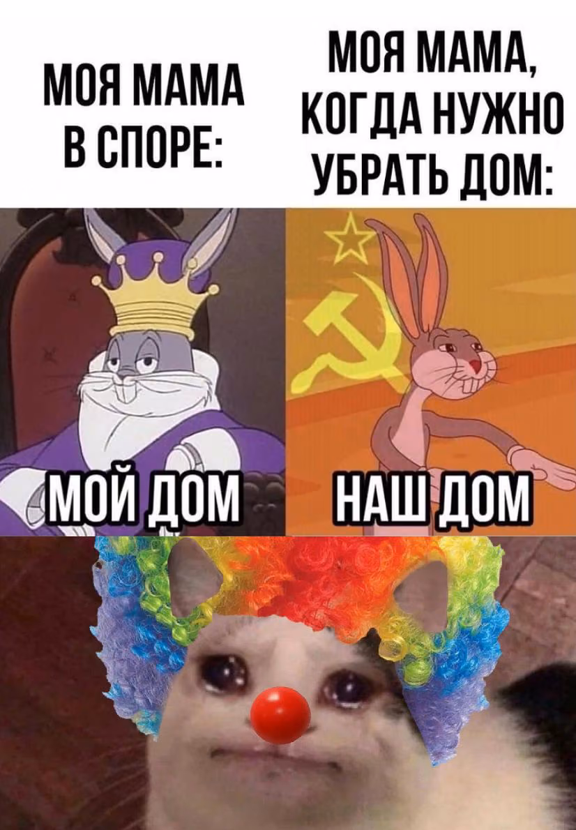 51677f6f618a3048c0e526e2bd4c2cd5.avif