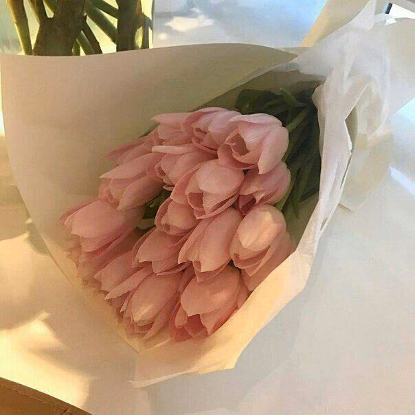517d21875846678f77a826c90dcbf76e.avif